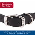 thumbnail image 3 of Collar para perro Coastal Circle T de piel curtida de roble negro 1,6 x 41 cm, 3 of 8