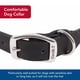 thumbnail image 3 of Collar para perro Coastal Circle T de piel curtida de roble negro 1,6 x 41 cm, 3 of 8