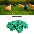 thumbnail image 4 of 100 Anillos para Patas de Pájaros, Bandas de Plástico Resistente para Identificación de Pollos, Bandas Numeradas para Patas de Aves de Corral para, 4 of 7