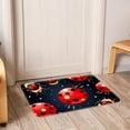 thumbnail image 6 of Ladybird Polyester Non-Slip Machine Washable Floor Mat: Outdoor Carpet Floor Mats, 6 of 6
