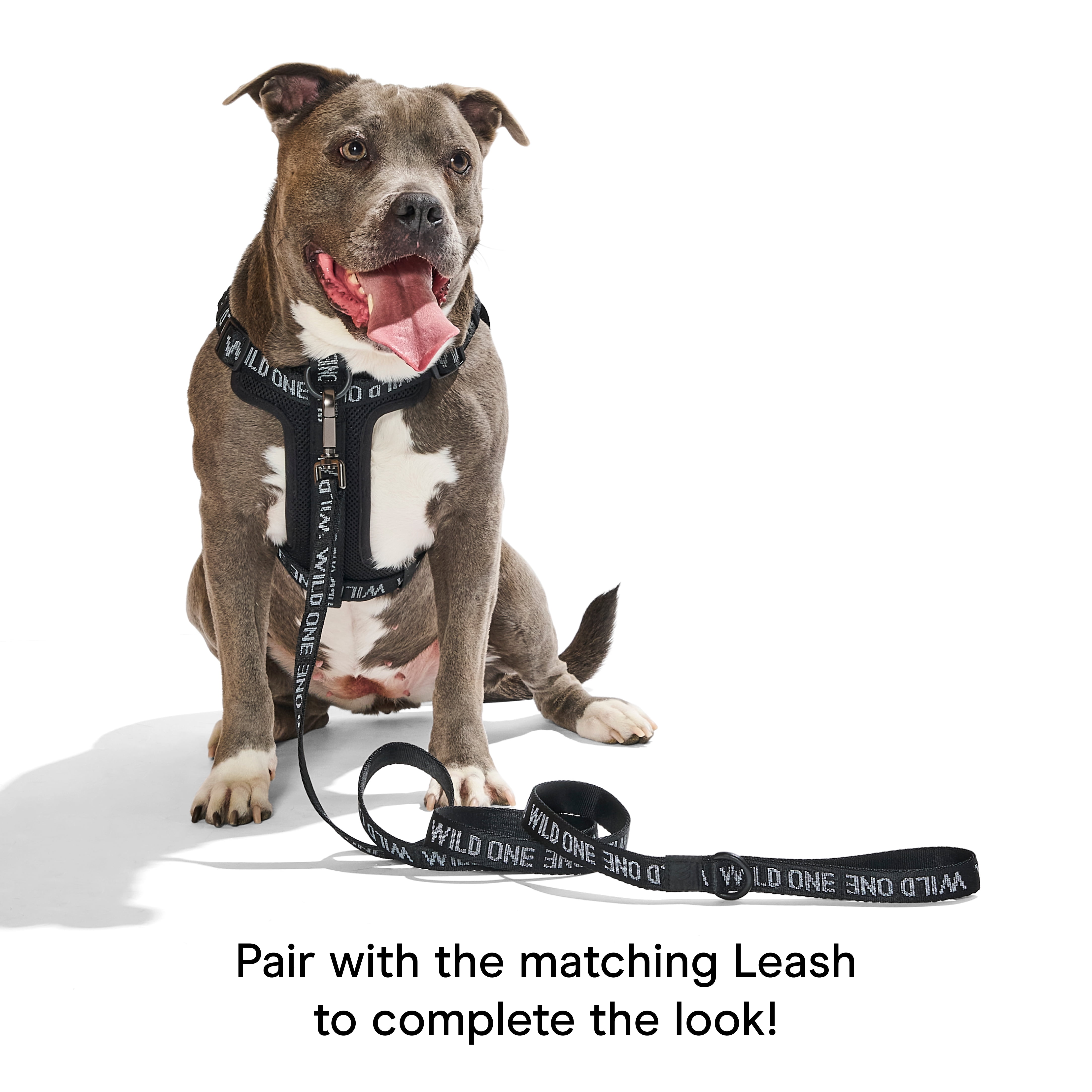 Wild One Adjustable Cushioned Step-In Dog Harness, Black Reflective, Small