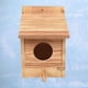 thumbnail image 5 of Caja de para de periquitos, casa de pájaros, caja de apareamiento de cría de periquitos para agapornis, cacatúa, loros, casa de pájaros, 5 of 8