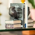 thumbnail image 2 of Danya B. Owl on Books Bookend Set, 2 of 5