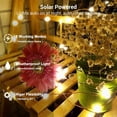 thumbnail image 2 of Guirnalda de luces solares Brizled, paquete de 2, 66 pies, 400 LED, blanco cálido, 2 of 9