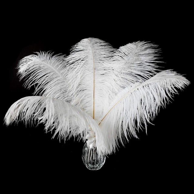 24 Uds plumas de avestruz color champán a granel plumas bohemias de 10-12 pulgadas para jarrón y decoración del hogar centros de mesa para fiesta de boda