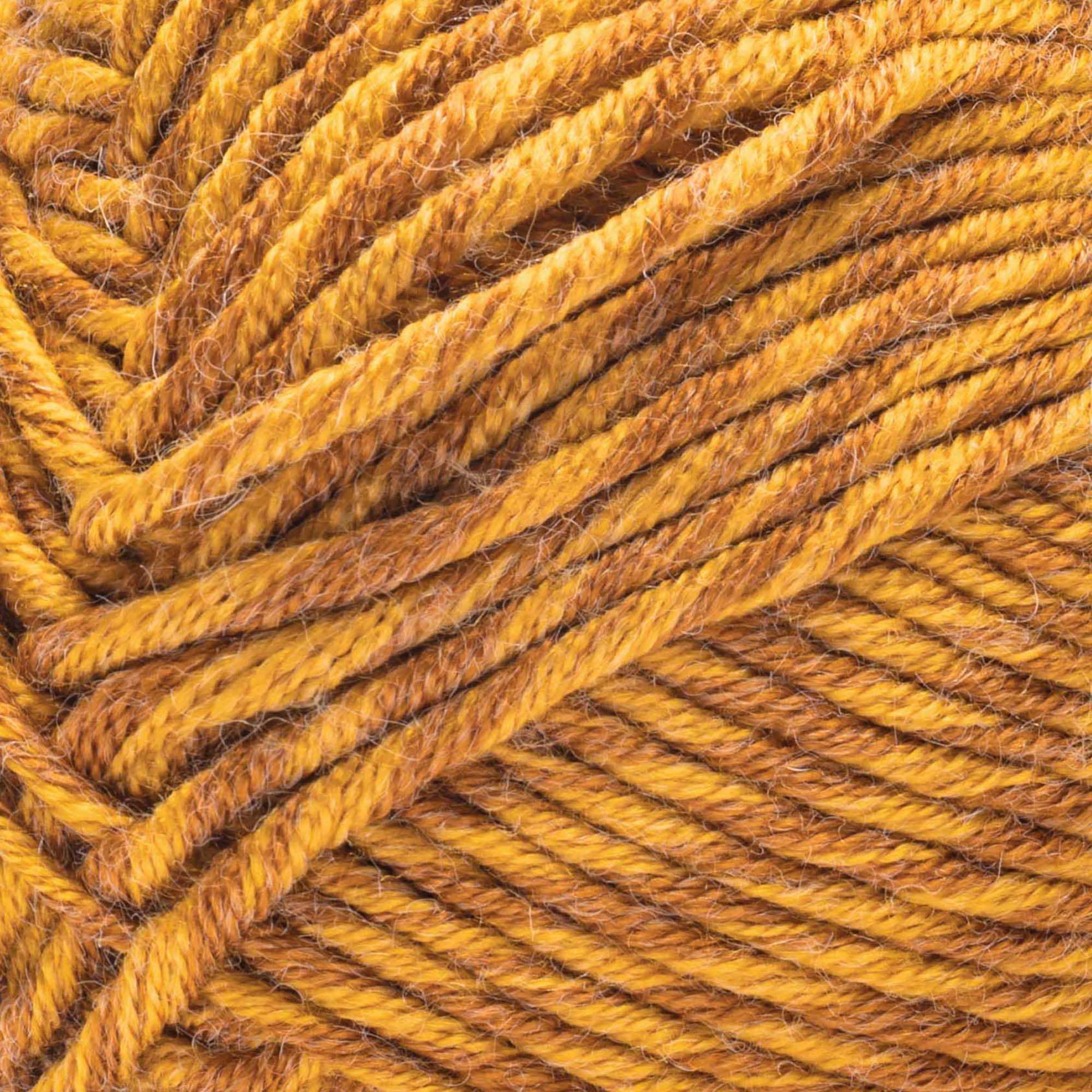 Caron® Simply Me Montage™ #5 Bulky Blend Yarn, Tigers Eye 5oz/140g 172 Yards (3 Pack)