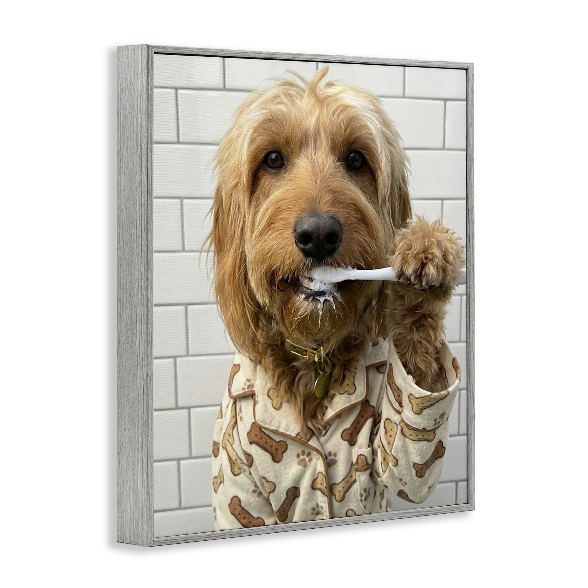 Stupell Industries Realistic Dog Brushing Teeth Gray Framed Giclee Art, design by Abigail Walker