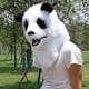 thumbnail image 1 of Animal Realistic Furry Panda Wolf Mask Full Head For Halloween Carnival Cosplay, 1 of 4