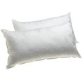 thumbnail image 1 of Plus 100% Gel Filled Pillows Standard, 1 of 1
