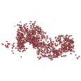 thumbnail image 4 of 100 piezas de semillas de fresa Sincero Semillas de fresa comestibles en macetas interiores exteriores balcones jardines, 4 of 10