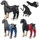 thumbnail image 1 of Protector de codos para perros LANNMXG almohadillas protectoras patas traseras tamaño ajustable pequeño, 1 of 5