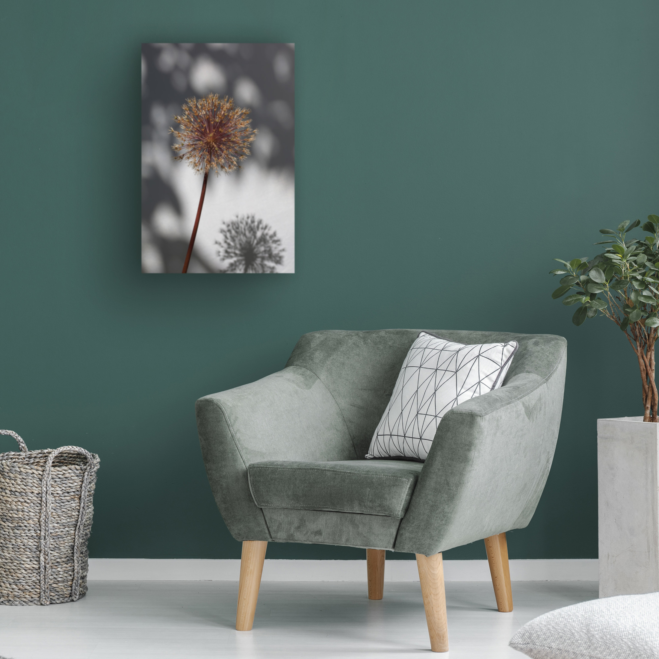 Trademark Fine Art Pictufy Studio Withered Flower, Seed House 1 Canvas Wall Art