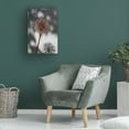 thumbnail image 2 of Trademark Fine Art Pictufy Studio Withered Flower, Seed House 1 Canvas Wall Art, 2 of 4