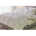 thumbnail image 4 of PlushBeds Sateen Down Alternative Comforter - Queen, 4 of 4