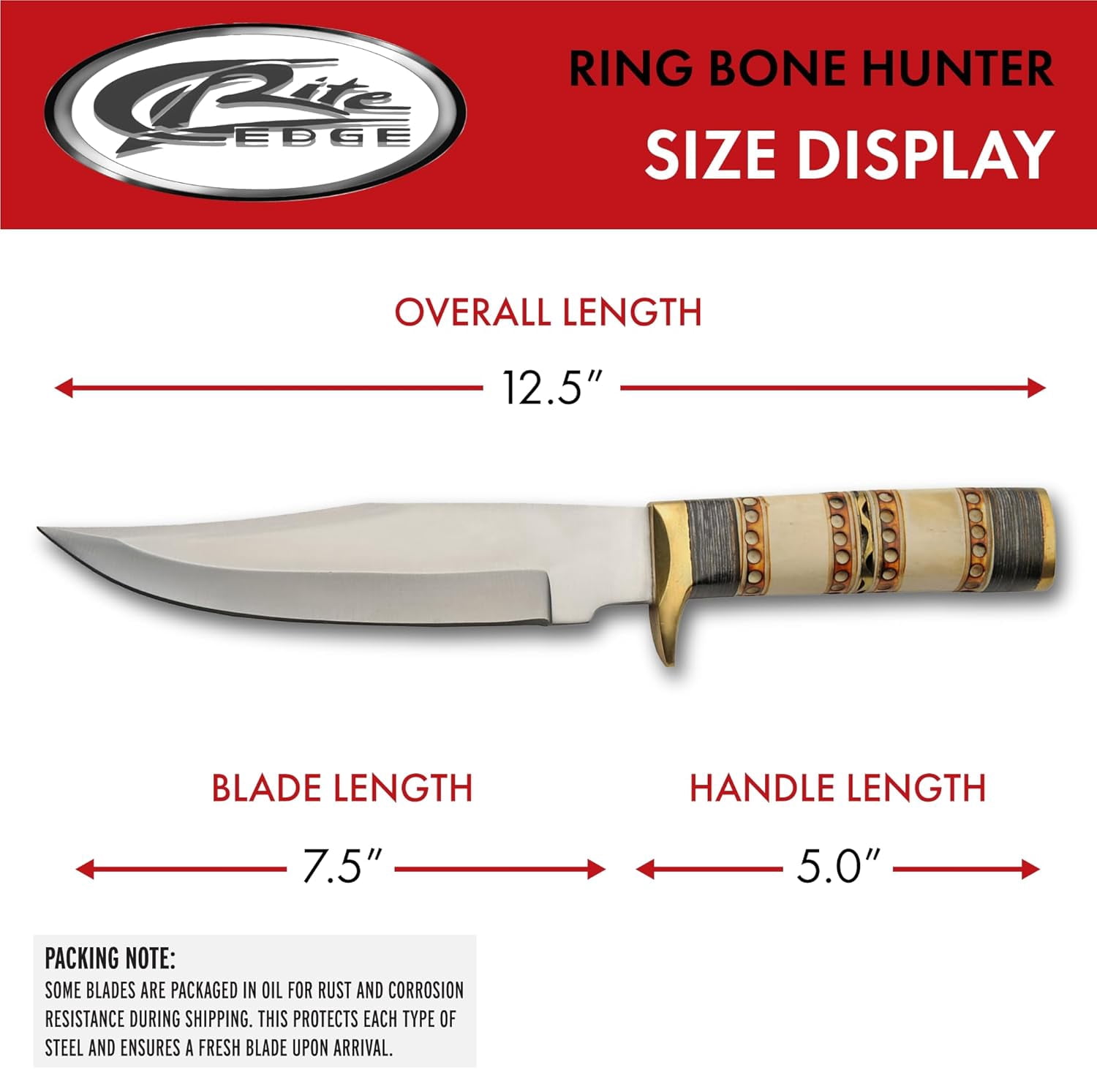 SZCO Supplies 12.5" Full Tang Clip Point Hunting Knife with Stainless Steel Blade, Bone & Wood Handle, Brass Guard, and Leather Sheath – Fixed Blade Outdoor Knife for Camping
