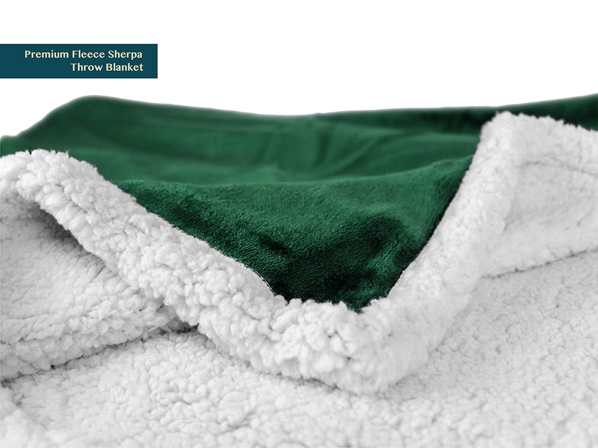 PAVILIA Plush Sherpa Fleece Blanket Throw, Twin, Emerald Green | Soft, Warm, Fuzzy Dark Forest Throw for Couch Sofa | Solid Reversible Cozy Microfiber Fluffy Blanket, 60x80