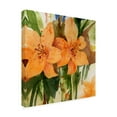 thumbnail image 2 of Sheila Golden 'Tiger Lilies' Outdoor All-Weather Wall Decor, 2 of 3