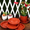 thumbnail image 5 of Planting Trays Plants Water Catcher Planter Plates to Indoor Flowerpot Pp 10 Pcs, 5 of 6
