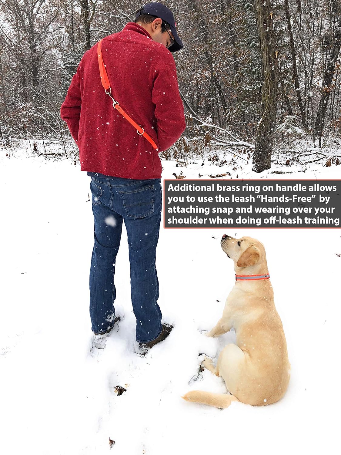 Regal Dog Products Waterproof Leash – 5 ft. Orange Dog Leash with Easy to Use Collar Hook, Lightweight, and Proof Training Pet Lead with vinyl-coated webbing for Small, Medium, Large, or XL Dogs