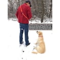 thumbnail image 2 of Regal Dog Products Waterproof Leash – 5 ft. Orange Dog Leash with Easy to Use Collar Hook, Lightweight, and Proof Training Pet Lead with vinyl-coated webbing for Small, Medium, Large, or XL Dogs, 2 of 9