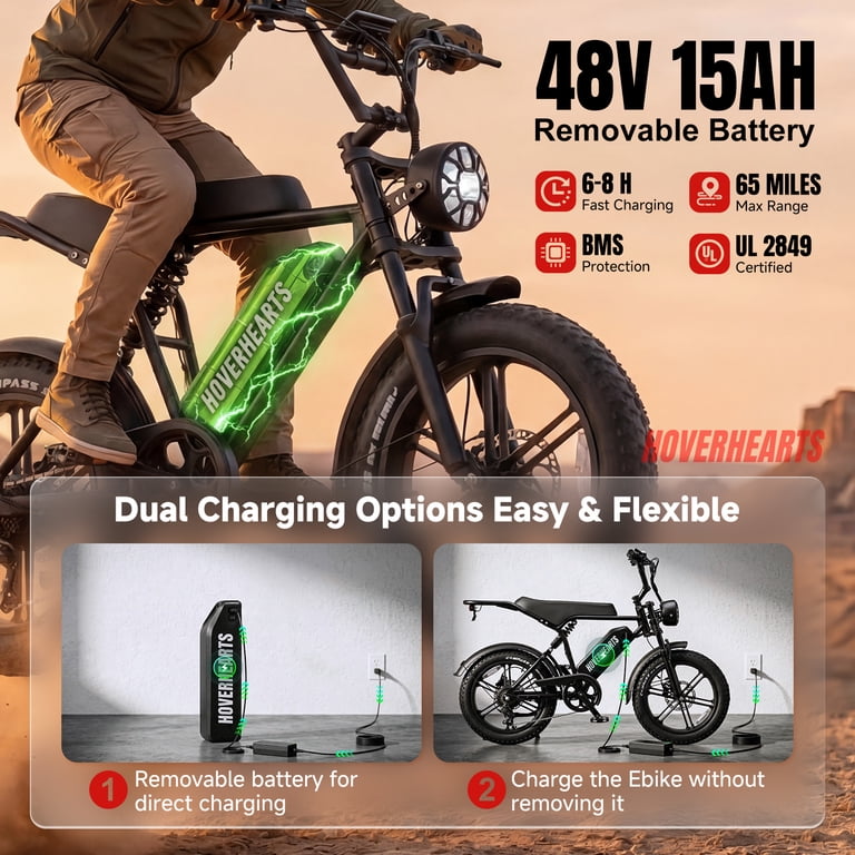 fast adult electric bicycle LIONLAND 1000 Peak Bike for Adults, 20