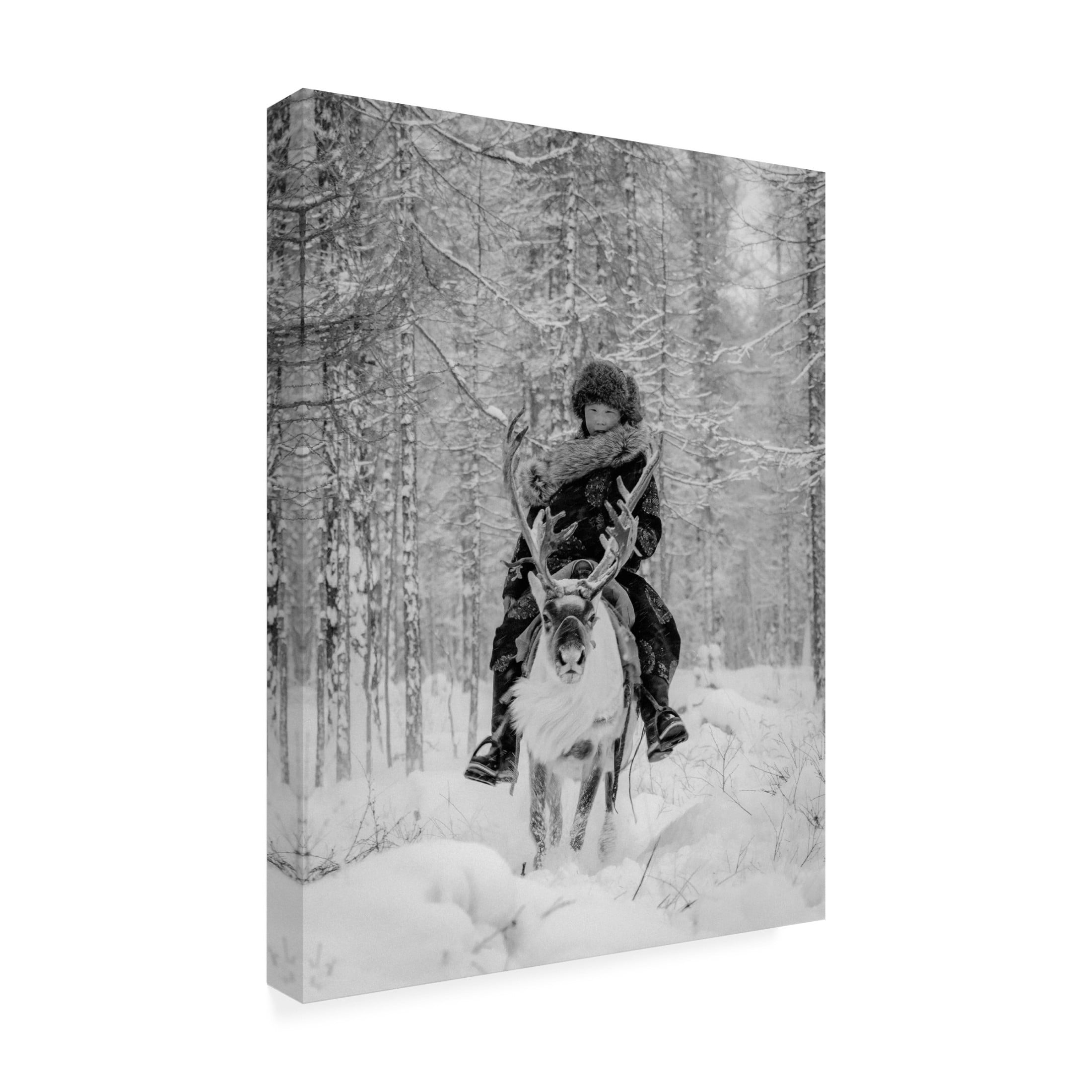 Trademark Fine Art ADIREK M  No.123 Canvas Wall Art