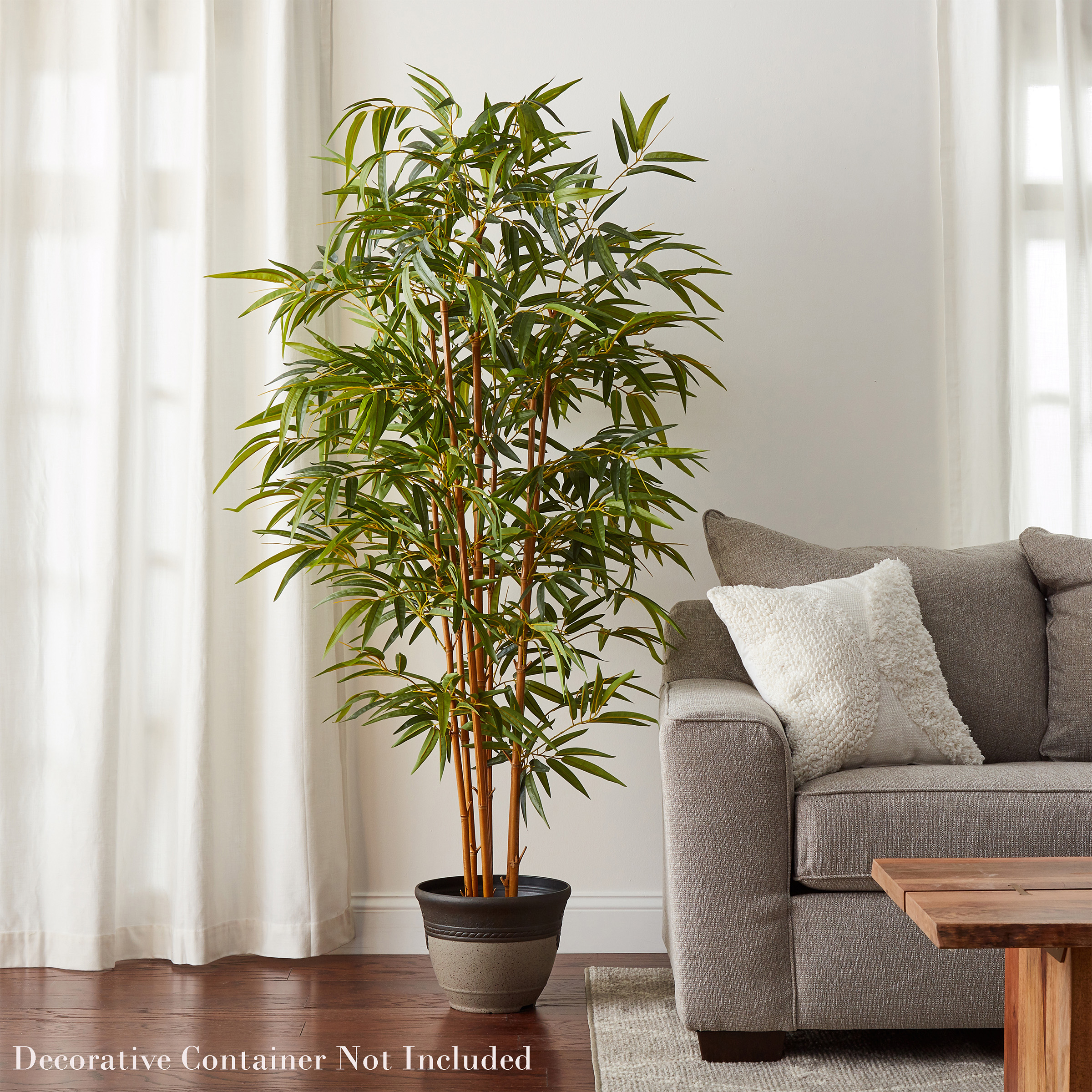 6 foot Black Bamboo Tree: Potted