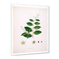 thumbnail image 2 of Designart 'Ancient Plant Life XVI' Farmhouse Framed Art Print, 2 of 4