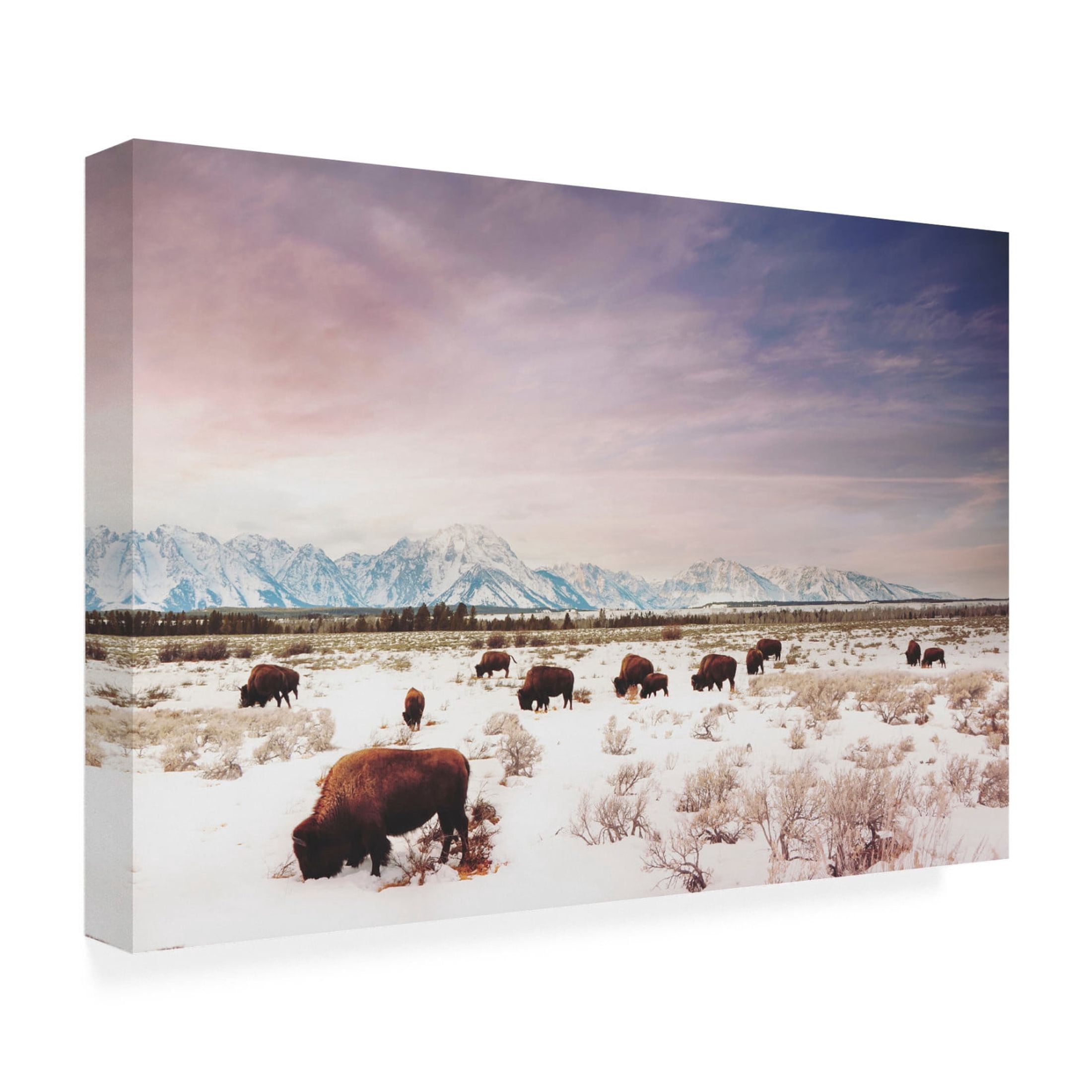 Canvas Wall Art - Annie Bailey Art 'Herds of The Tetons' Wall Art for Living Room, Bedroom, or Office Décor by Trademark Fine Art - 24 x 16 Inches