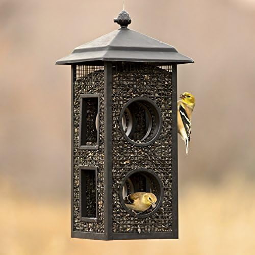 Fly-Thru Wild Bird Feeder - 2 lb Capacity for Black-Oil Sunflower Seeds - Wild Bird Feeder for Outdoors - Outdoor Decor - B00303