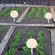 thumbnail image 3 of Las Etiquetas de la Planta Horticultural Creativa de Madera Pueden Escribir 10Pcs para la Inserción a Tierra, 3 of 8