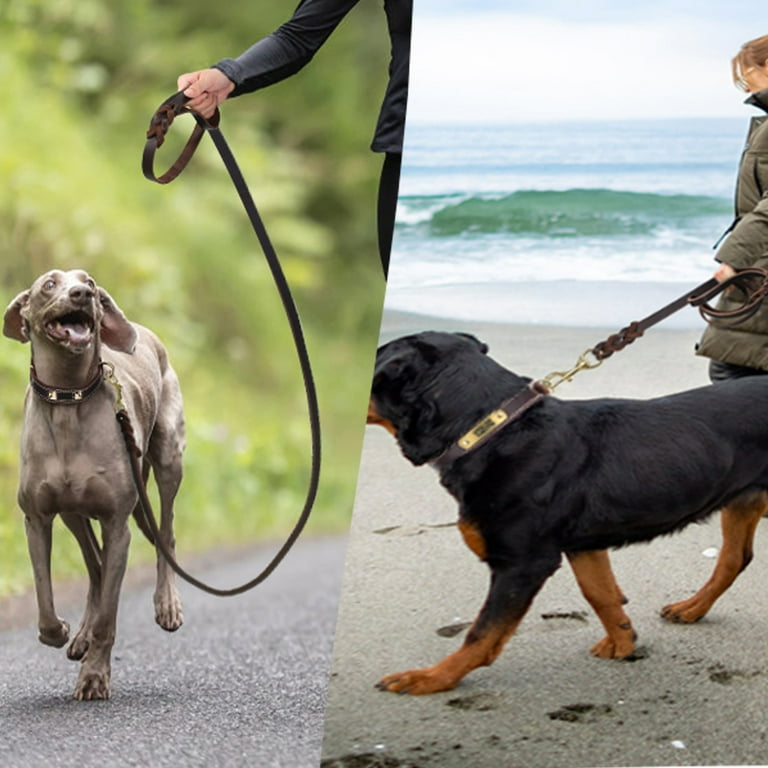 4ft leather dog leash 2025
