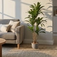 thumbnail image 1 of Planta Artificial Congo Dracaena Palo De Brasil Grande De 150cm De Alto Artego, 1 of 8