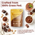 thumbnail image 2 of Healthy Living Proteins | Multi Hydrolyzed Collagen Peptides Type I, II, III, V, & X | Grass Fed Bovine, Wild Caught Marine, Free Range Chicken | Gluten Free (Chocolate, 8 oz), 2 of 7