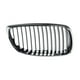 thumbnail image 1 of Parrilla 325i 2007 A 2013 BMW Der TONG YANG, 1 of 4