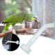 thumbnail image 2 of Bird Bath Feeder Dispenser Filler Injector Food Supply Drinker Filling Tool Parakeet Cage Accessories Pet Supplies for Small Animals, 2 of 5