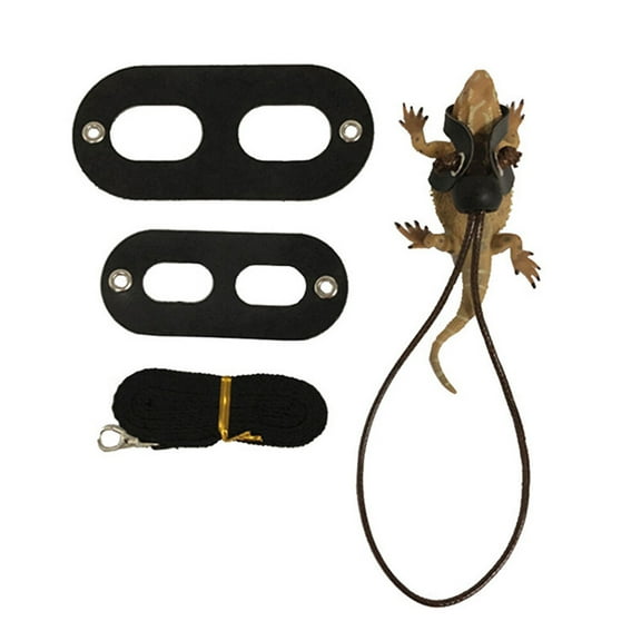 LOLIPPYY 3-Piece Lizard Set with Traction Rope in Black for Reptile and Small Pet Use