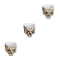 thumbnail image 3 of Billuyoard Macetas para suculentas con calavera, macetas artísticas y duraderas, maceta con cabeza de calavera, maceta con calavera M 4 Type1 NO1, 3 of 6