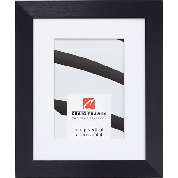 Craig Frames Modern Aesthetics 125, 24x32 inch Picture Frame Matted for a 20x28 Photo, Black