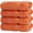 Coral, variant on 4 Piece Extra Large Bath Towels, 100% Cotton Luxury Turkish Towels for Bathroom, Soft Absorbent Bath Towels, 30 x 60 Inches, Wedgewood