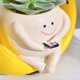 thumbnail image 5 of Maceta con Cara Oscilante, Maceta Colgante con Cara Sonriente, Maceta de Resina para Cadena de Perlas, Plantas Vivas de Interior y Exterior, 5 of 5