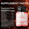 thumbnail image 2 of Kidney Support - with Cranberry, Astragals - Kidney Detox and Bladder Cleanse - 120 Capsules, 2 of 9