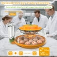 thumbnail image 3 of 18 Egg Incubator with Automatic Egg Turning and Humidity Control, Egg Candler, Auto Water Replenishment, 2 Size Egg Trays, Air Vent, for Hatching Chicken Duck Quail Goose Eggs, 3 of 8