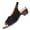 Black, variant on DIVVce Peep Toe Slingback Low Block Heel Sandals For Women Adjustable Buckle Comfort Casual Office Footwear