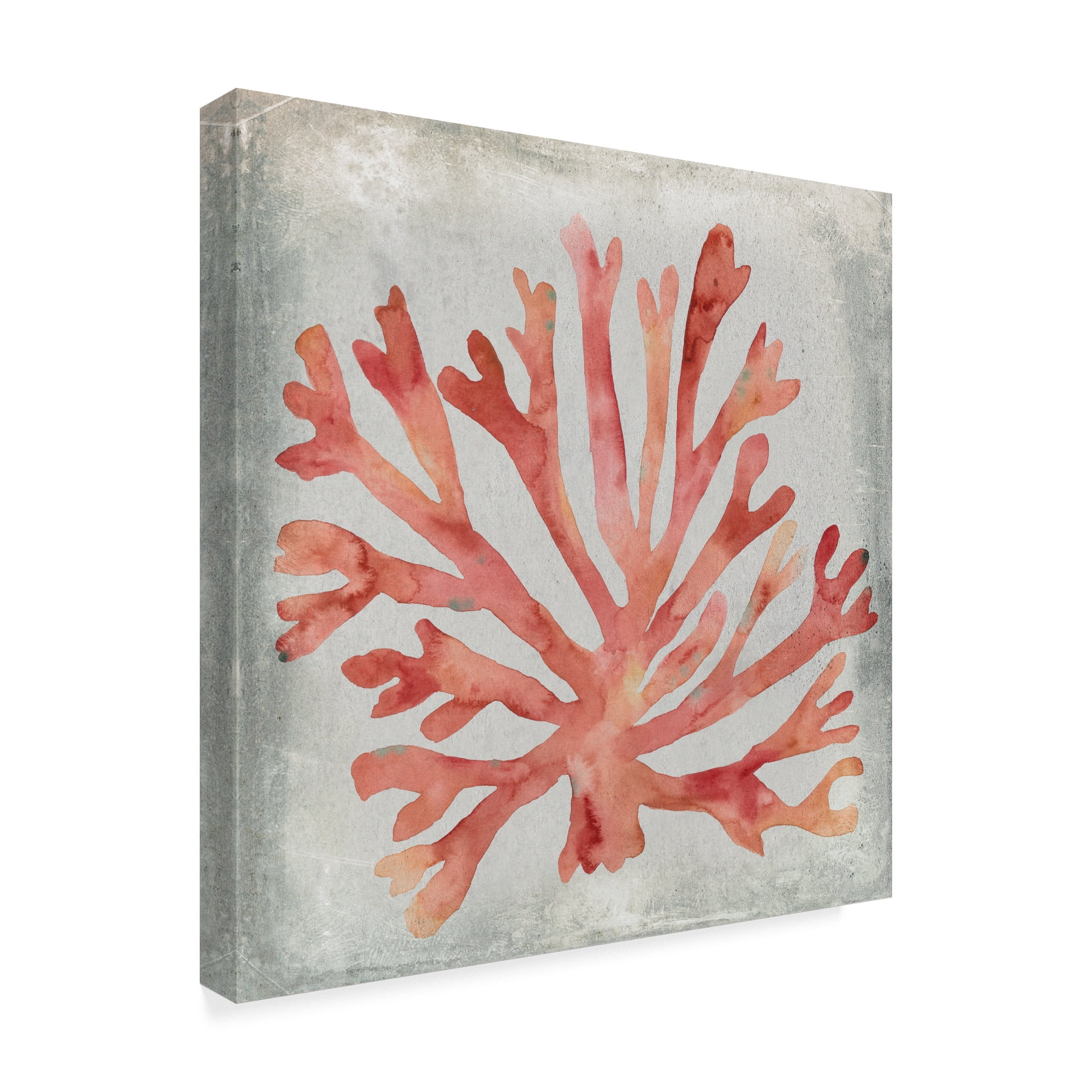 Trademark Fine Art 'Watercolor Coral III' Canvas Art by Megan Meagher