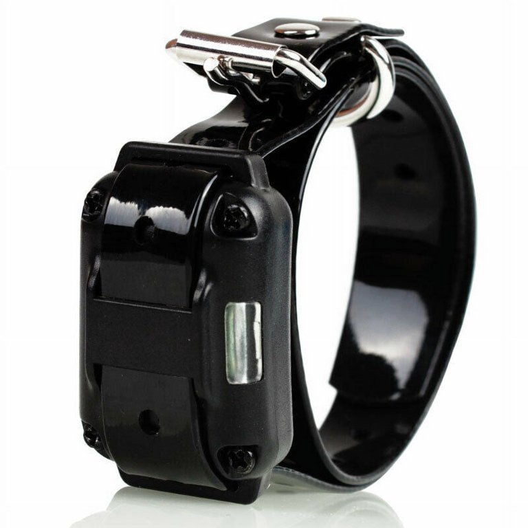 WhizzoHead Rechargeable Waterproof Dog Training Collar – Remote Shock Collar With 875 Yard Range