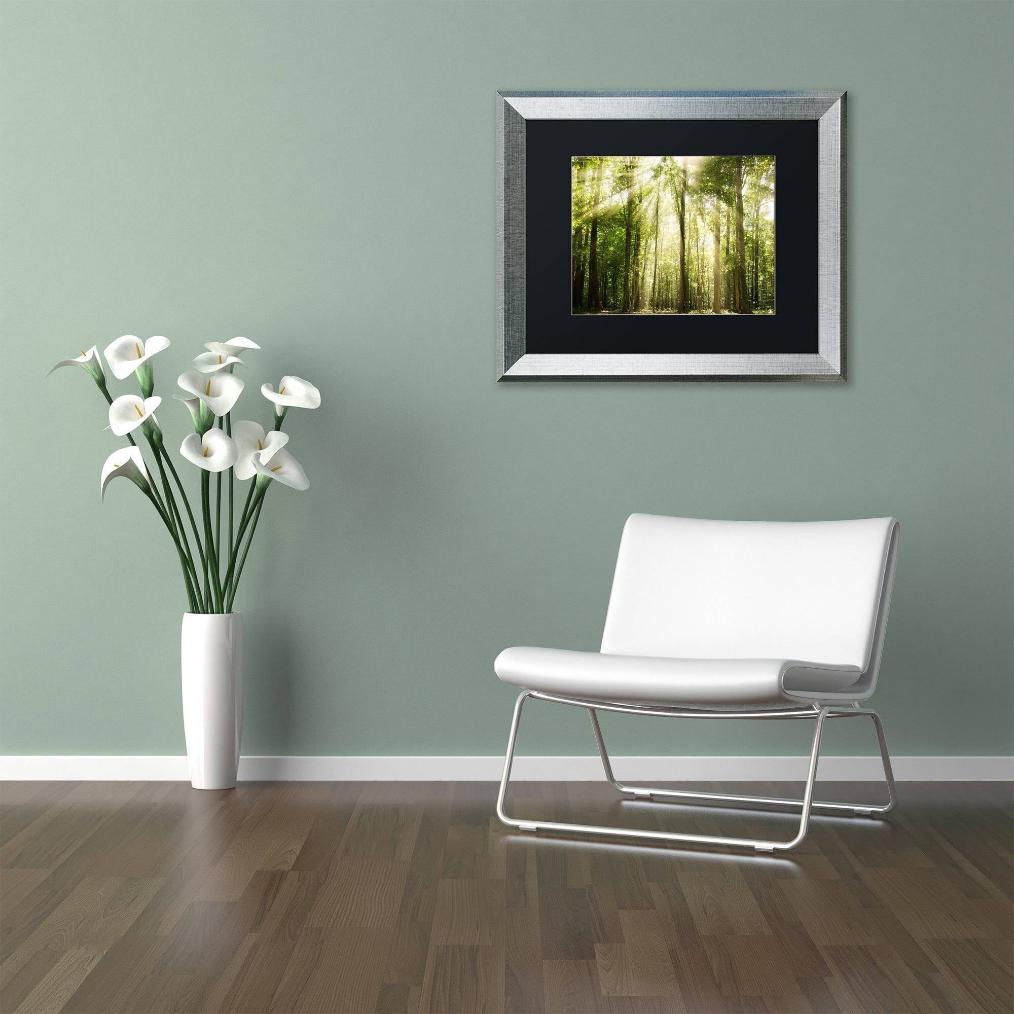 Trademark Fine Art 'Sunrays Through Treetops' Canvas Art by PIPA Fine Art, Black Matte, Silver Frame