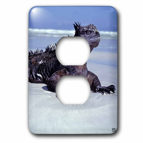 3dRose, Marine iguana Galapagos Islands, Ecuador, 2 plug outlet cover
