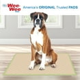 thumbnail image 4 of Four Paws Wee-Wee Eco-Friendly Potty Training Dog & Puppy Pads, Pet Pee Pads, 50 Count, 4 of 12