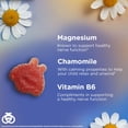 thumbnail image 4 of Zarbee's Children's Calm Gummies, Natural Raspberry Flavor, 30 Count, 4 of 14